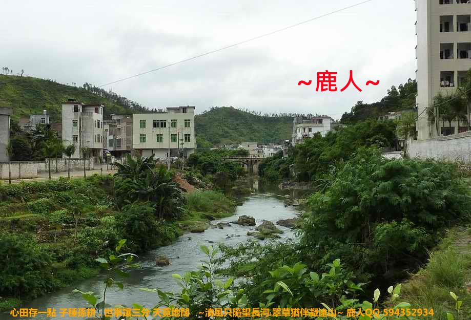 雙燕挑樑_10.JPG