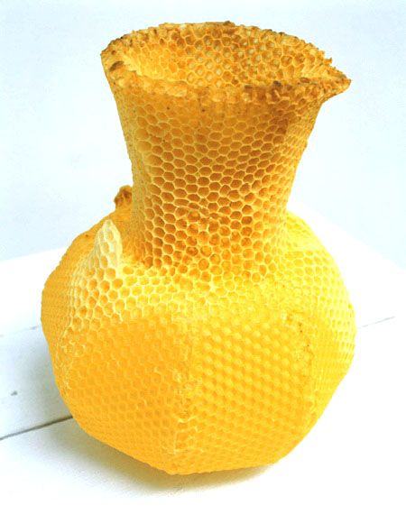2004413097736046435_rs.jpg