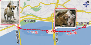路線圖