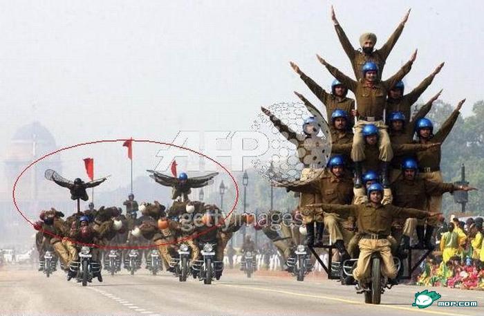 C5.jpg