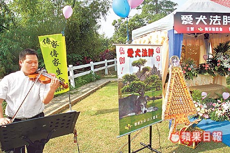 拉琴伴奏