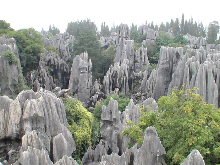 中國昆明的石林(Stone Forest)