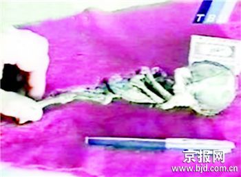 不明生物.jpg