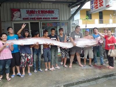 地震魚.jpg