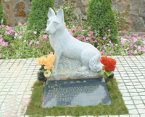 weicj20060323003.jpg