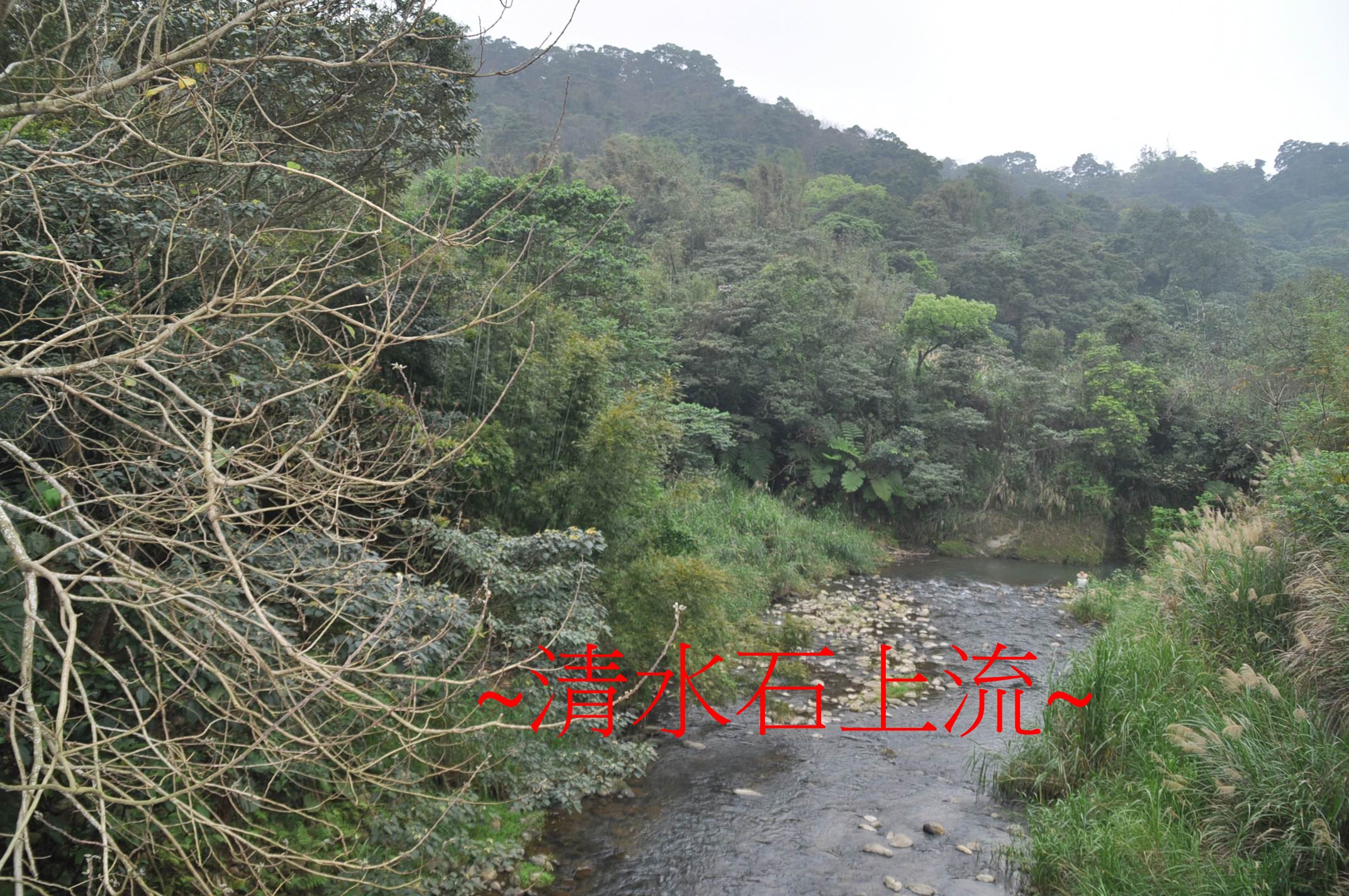 水來2.jpg