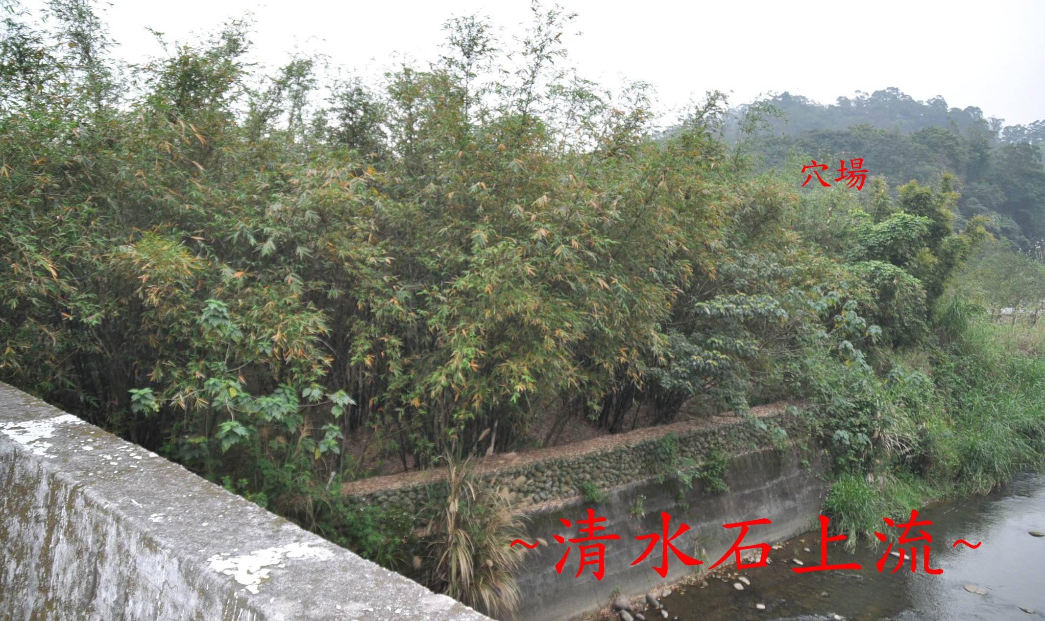 穴場.jpg