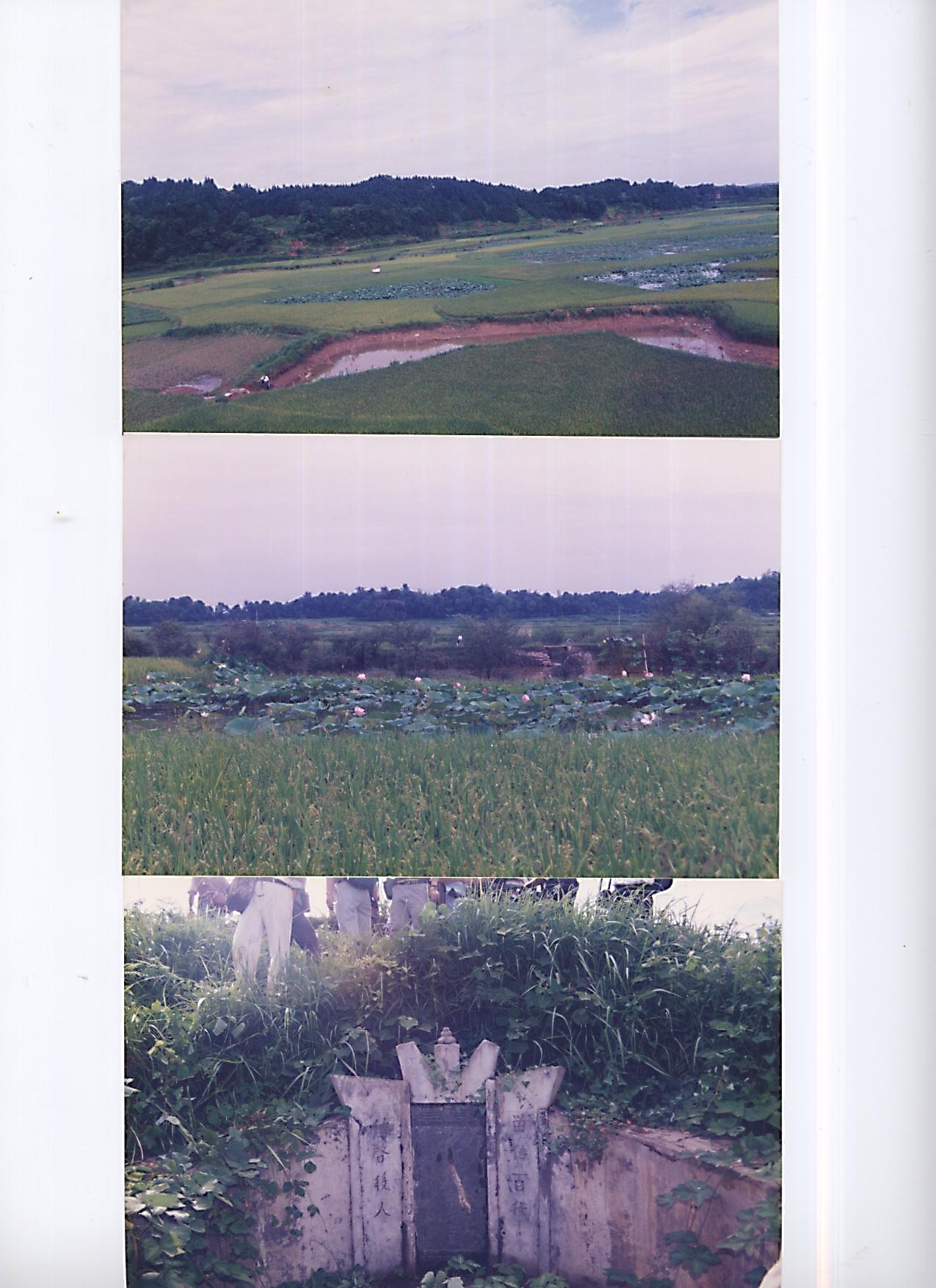 馬英九祖墳 007.jpg