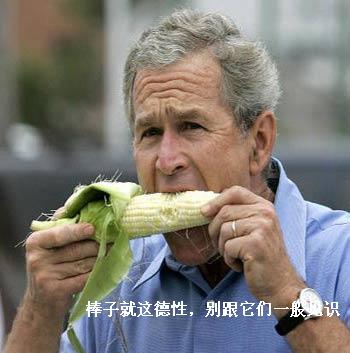 IMAGE.01.jpg