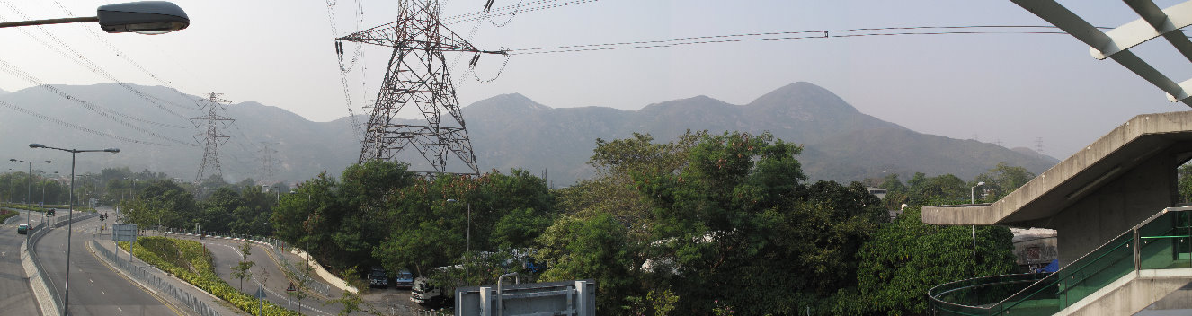 591.jpg