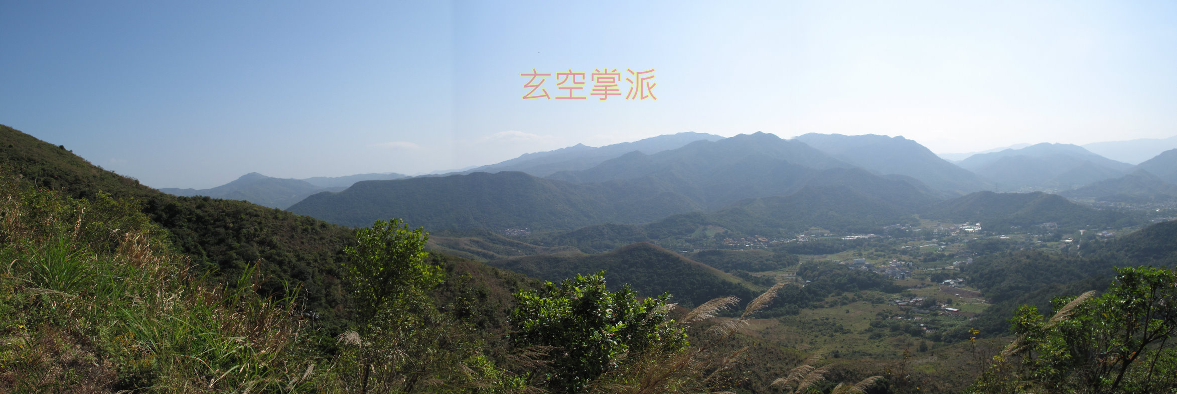 枝幹分派