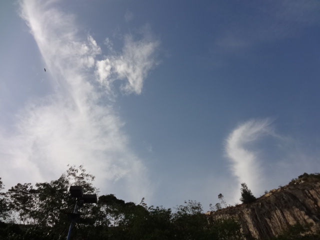 DSC02687.JPG
