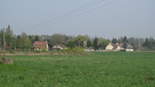 IMG_2578.jpg