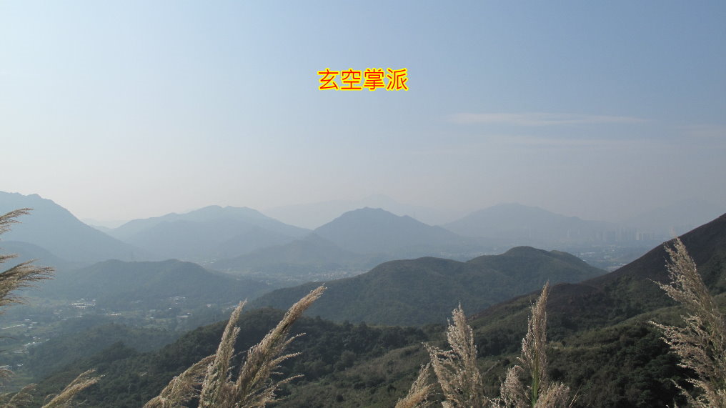 IMG_5433.jpg