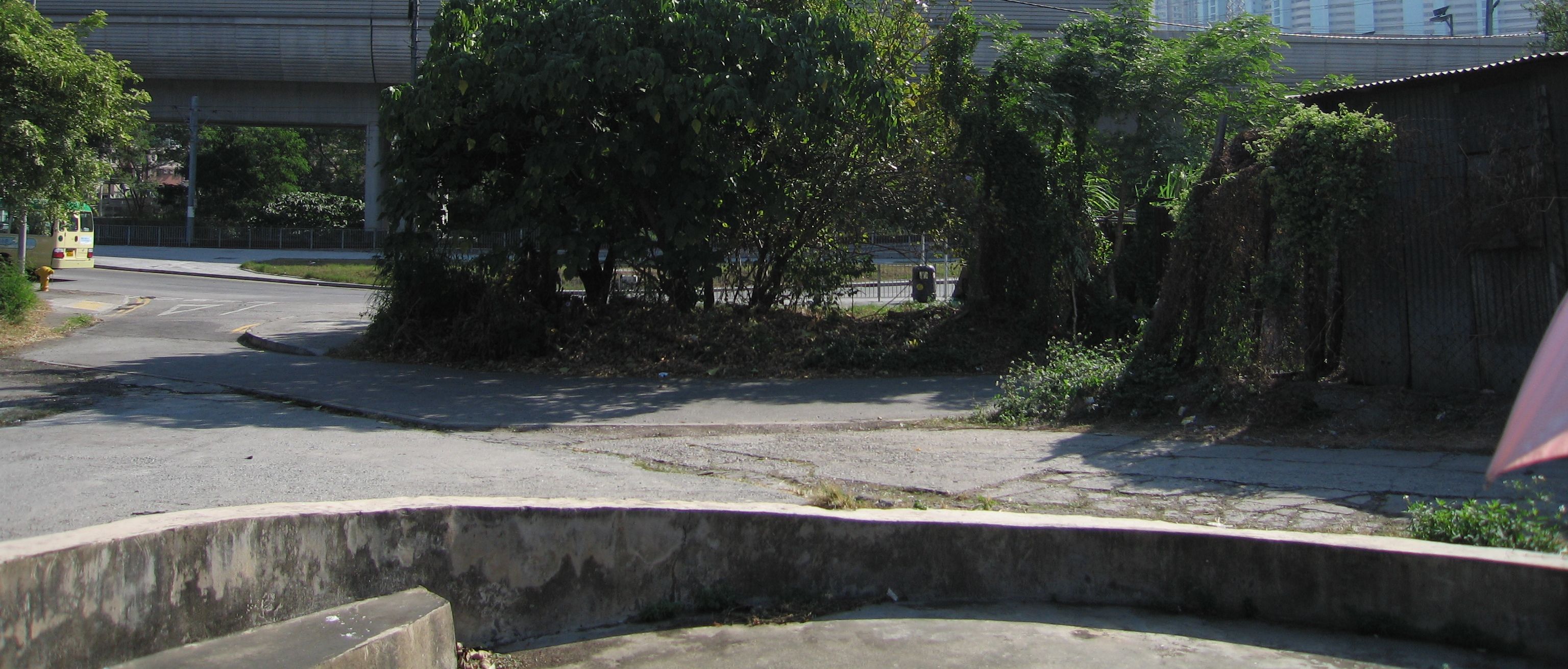Yeung-3.jpg