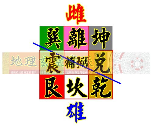 雌雄示意圖